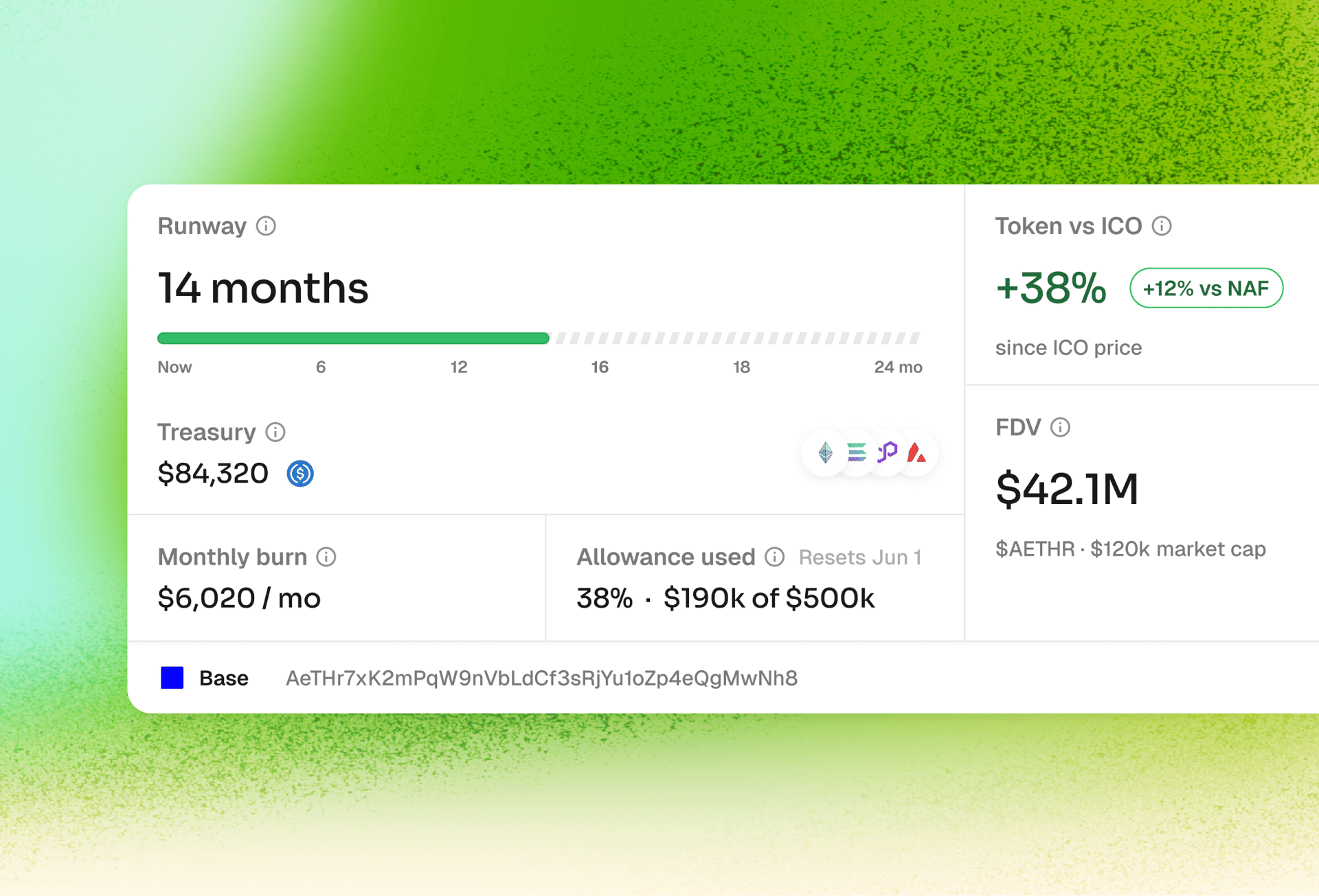 Project metrics showing runway, treasury, token performance, and FDV.